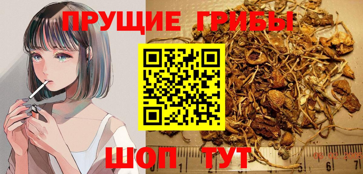 Псилоцибиновые грибы MAGIC MUSHROOMS  Вход с VPN  Кизляр  Галлюциногенные грибы Psilocybine cubensis 