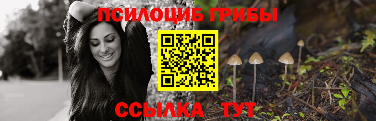 Галлюциногенные грибы Magic Shrooms Кизляр